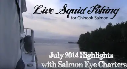 Live Squid fishing July 25, 2014 Ucluelet BC on GoPro