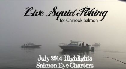 Live Squid fishing for Chinook salmon Ucluelet BC July 2014